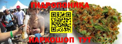 дурь Гагарин