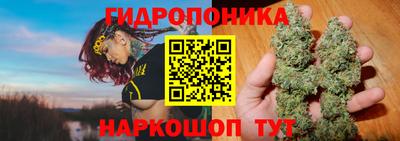 дурь Гагарин