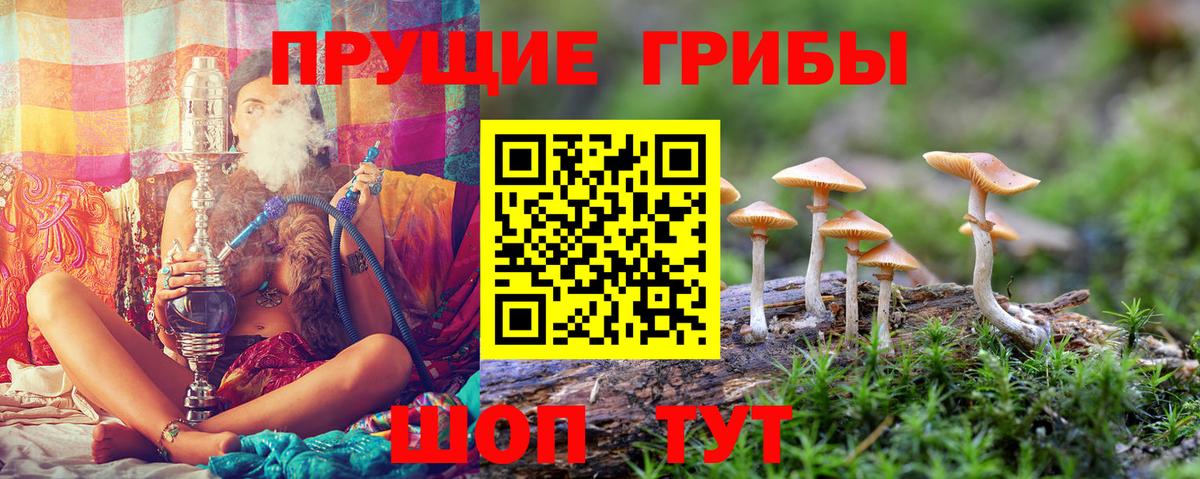Галлюциногенные грибы прущие грибы  Вход с VPN  магазин продажи наркотиков  Галлюциногенные грибы мицелий  Лесной 