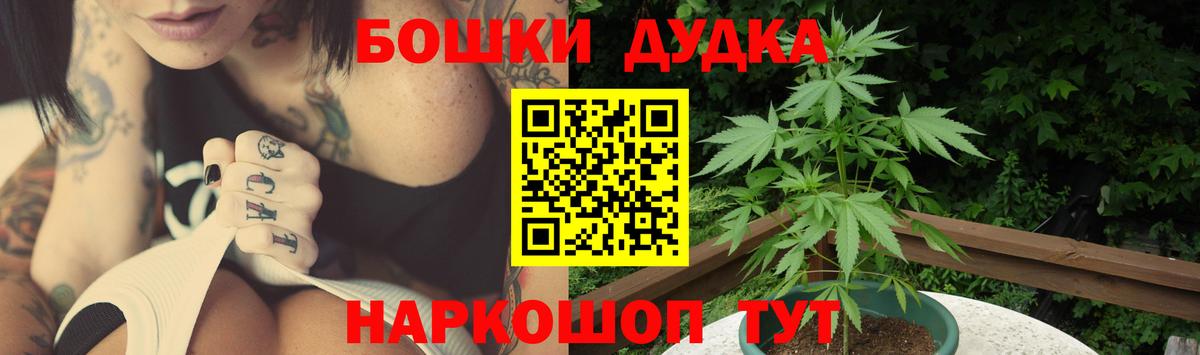 Каннабис гибрид Лесной